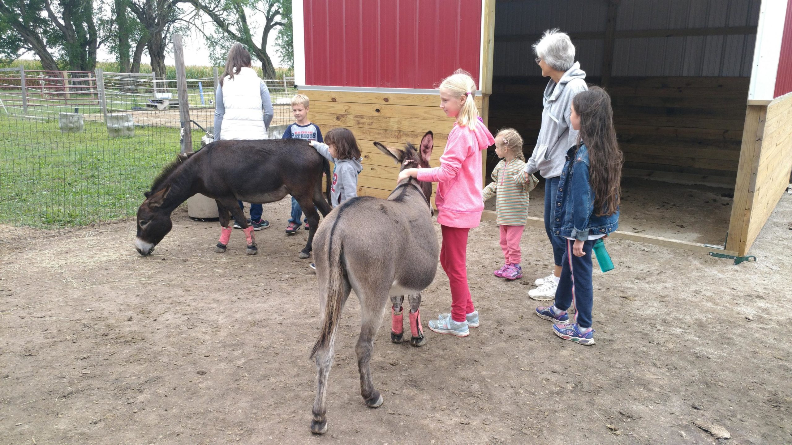 hands on services youth ranch