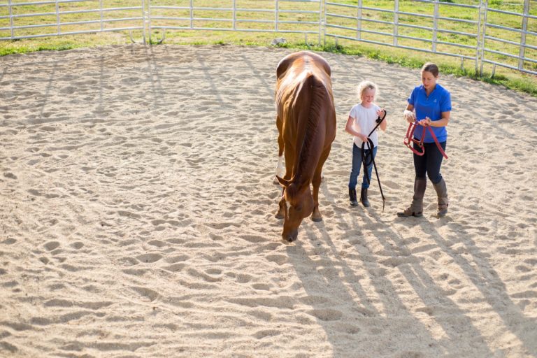 horse-trainer-student-session-8376