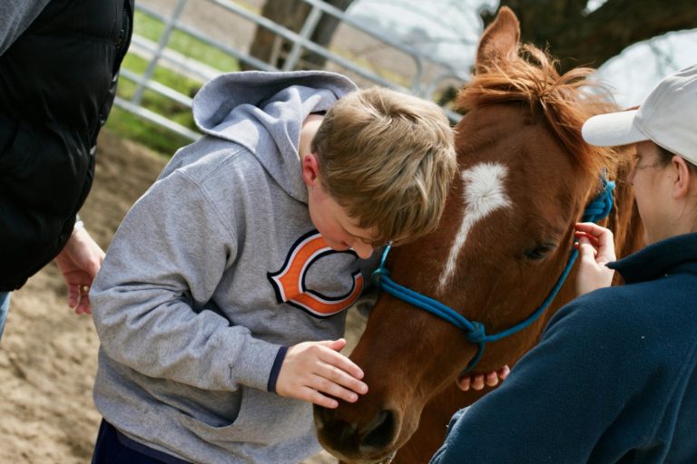 student-field-trip-boy-petting-horse