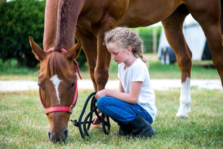 young-girl-walking-horse-red-halter-2878