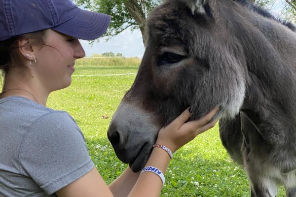 addison-donkey-cuddles