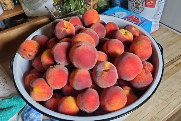 bowl-of-fresh-peaches