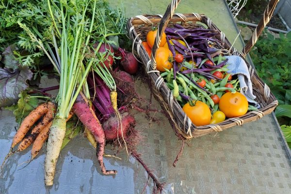 fresh-produce-tomato-carrot-beans-veggies