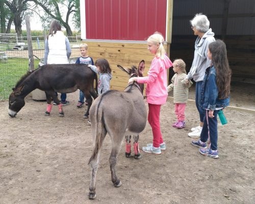 hands on services youth ranch