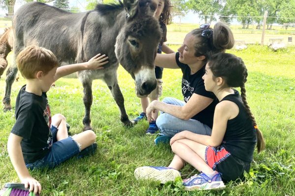 olsons-donkey-group-bonding