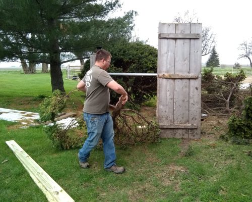 volunteer-work-bush-moving