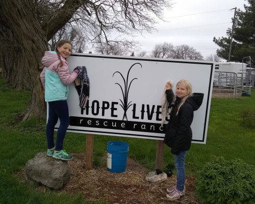 hope lives youth ranch youth children